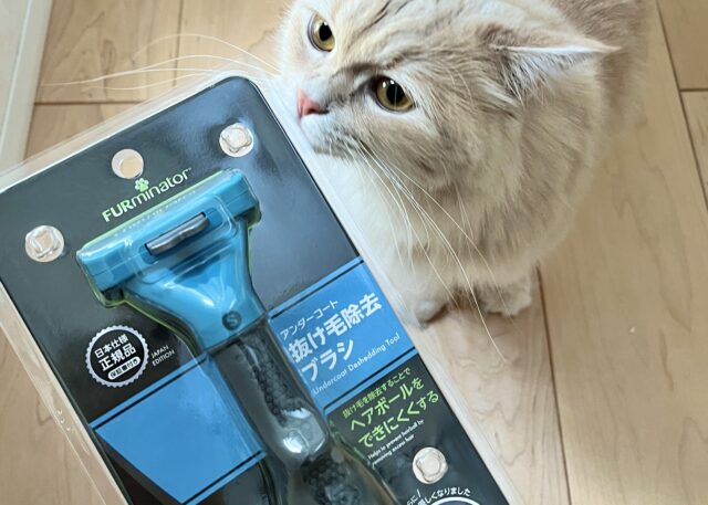 ファーミネーター買った時の写真と猫