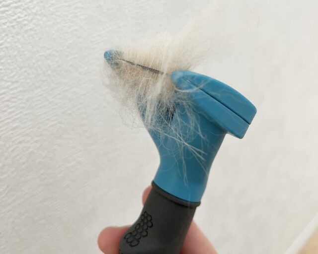 ファーミネータ後の抜け毛