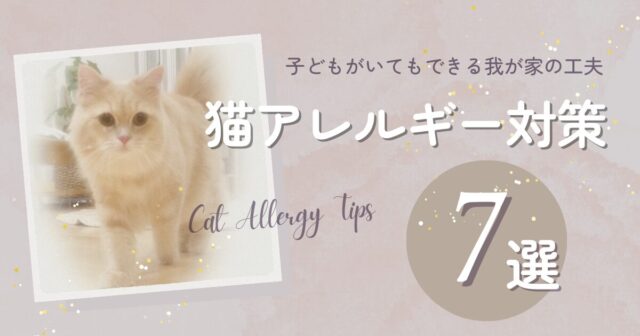 猫アレルギー対策