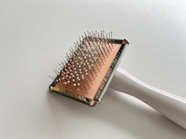 スリッカーブラシの先