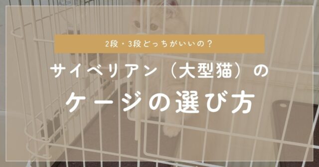 サイベリアンケージの選び方