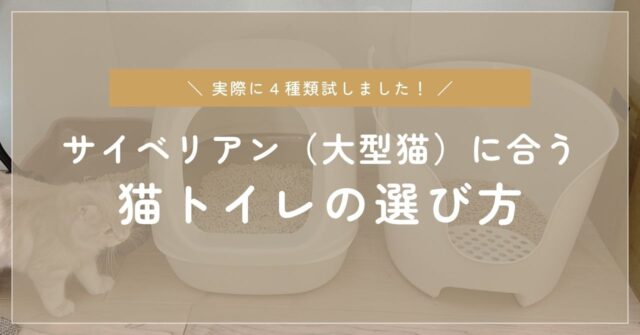 サイベリアンに合うトイレの選び方