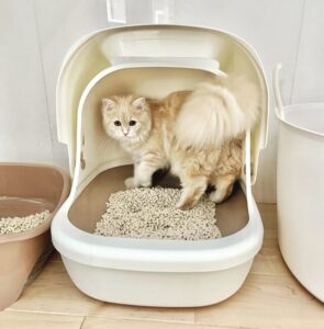 猫トイレに入るサイベリアン