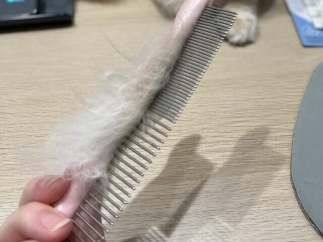 ブラッシングコーム