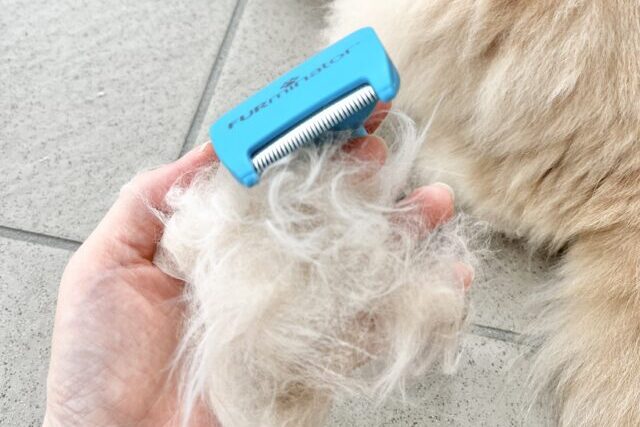 ファーミネータ後の抜け毛