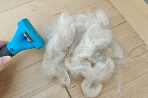 ファーミネータ後の抜け毛