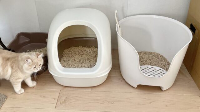 並べた猫トイレ