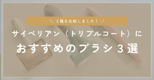 サイベリアンにおすすめのブラシ3選