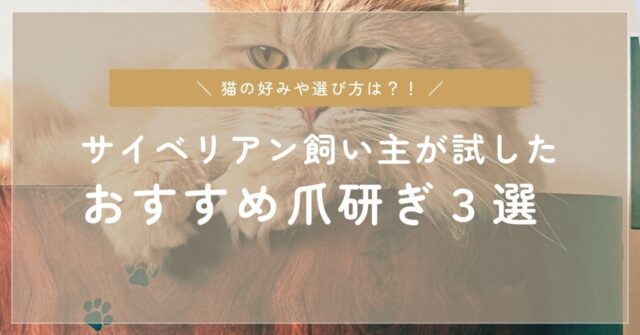 サイベリアンおすすめ爪研ぎ3選